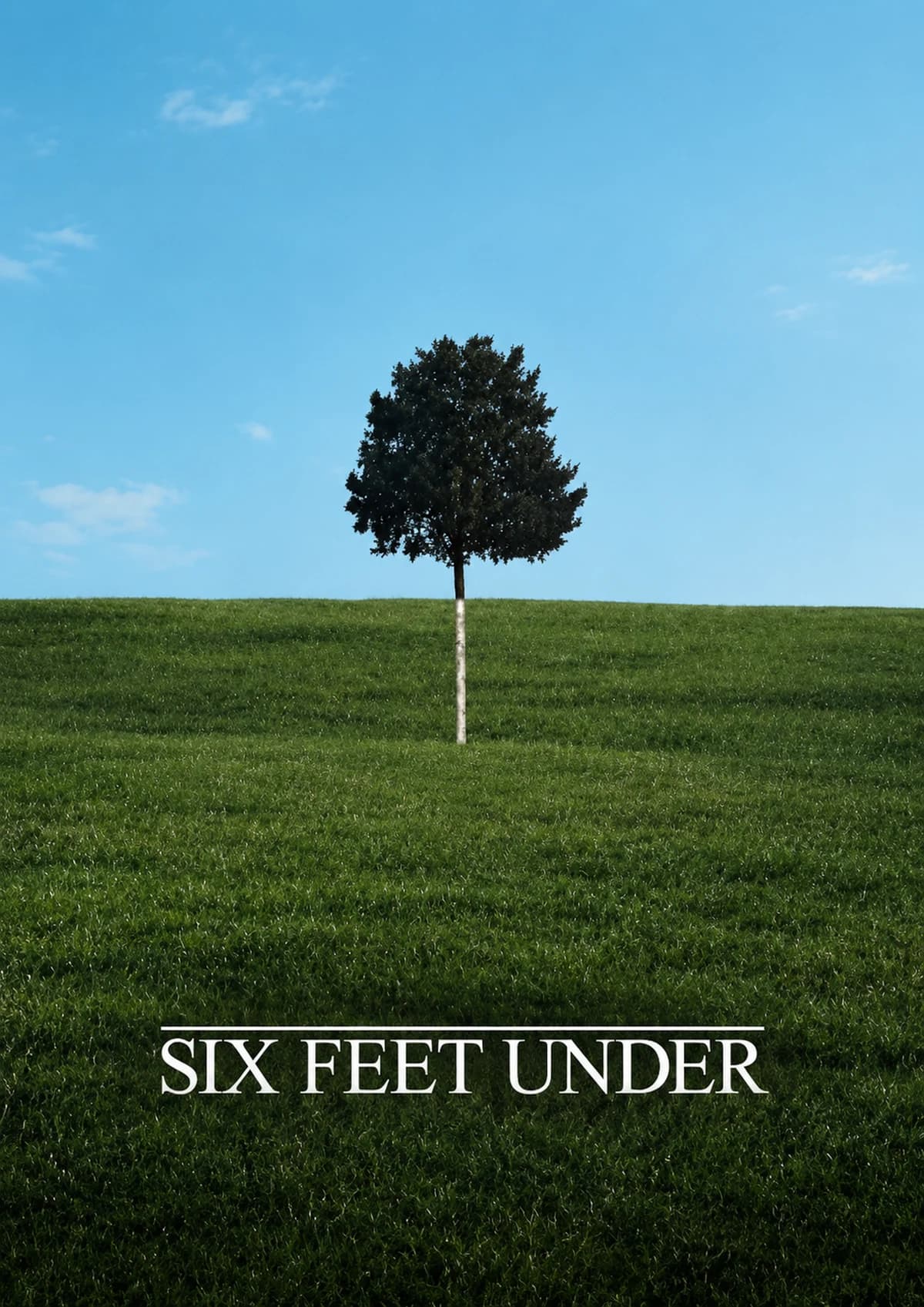 Quadro decorativo Six Feet Under - Árvore