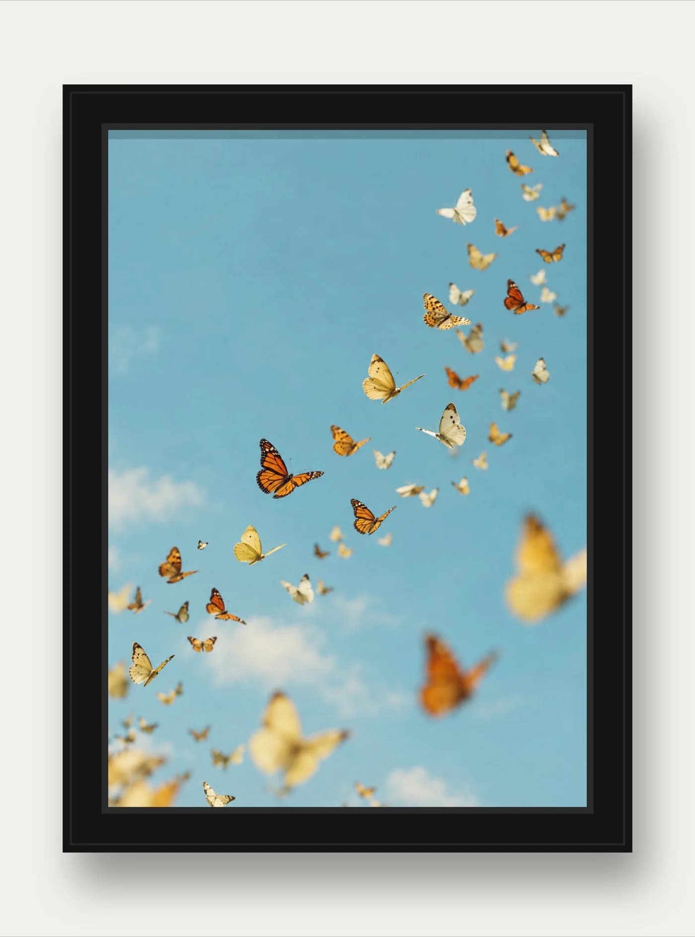 Quadro decorativo Borboletas